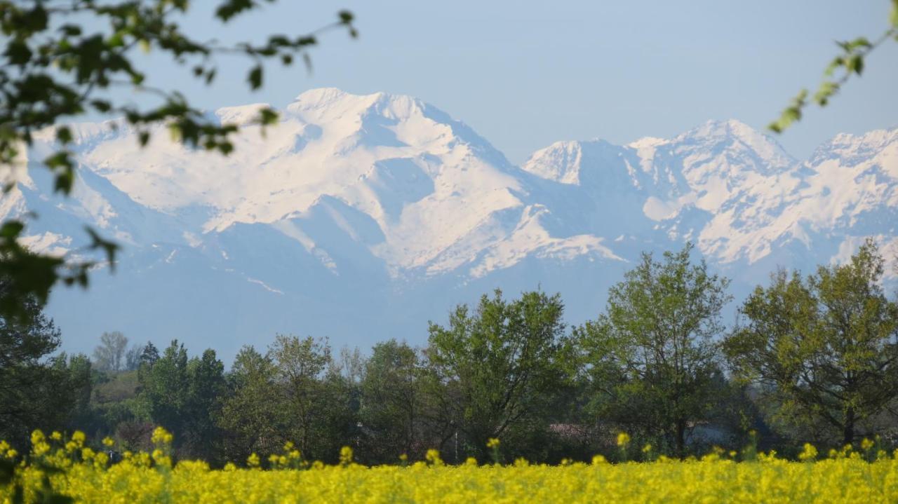 Gite La Tourasse Les Tournesols Lamasquere Экстерьер фото
